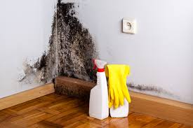 Best Industrial Mold Remediation  in Baldwinsville, NY